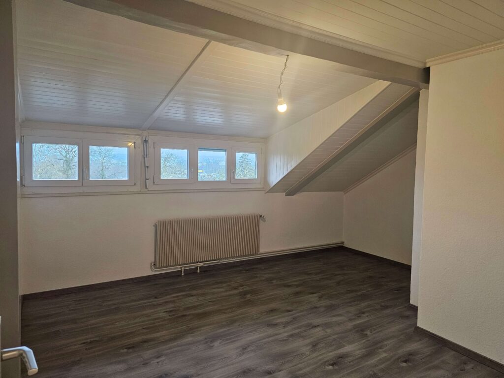 Pose de parquet stratifié Mozi Peinture